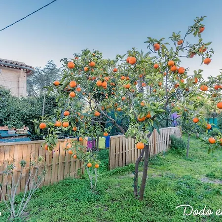Wonderful 3 Bedrooms With Big Garden Hyères