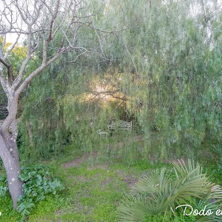 Апартаменты Wonderful 3 Bedrooms With Big Garden