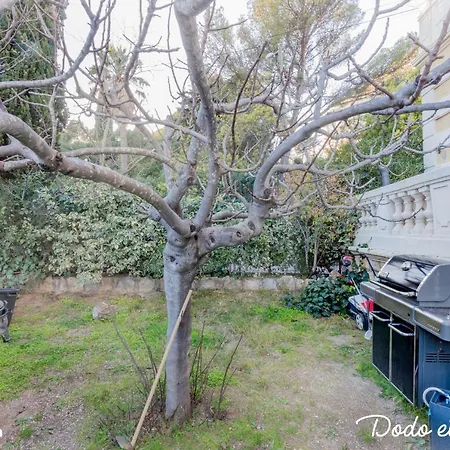 Wonderful 3 Bedrooms With Big Garden